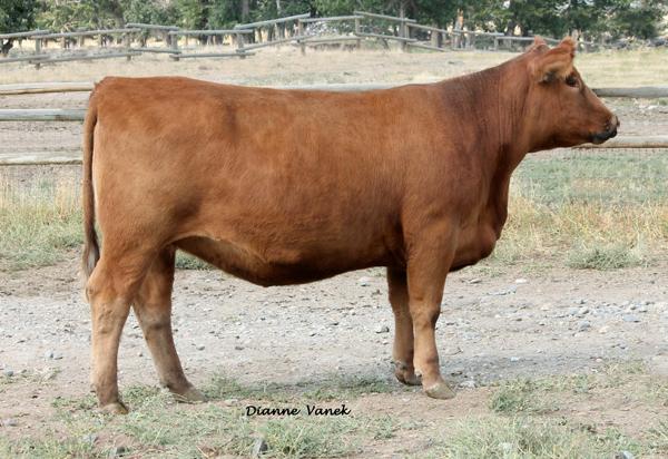 Lot 17B - SRR LAKOTA 055-027