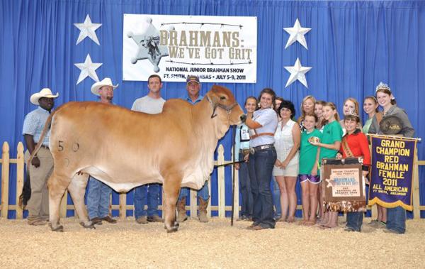 Full Sister to 2011 All American Grand Champion Red Female                 Lady H Elizabeth Rojo 50/9