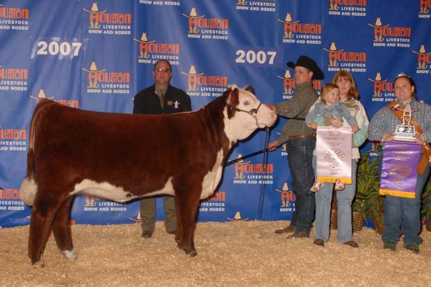 6075 as a Calf