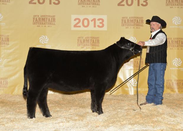 Canadian National Champion Spring Heifer Calf