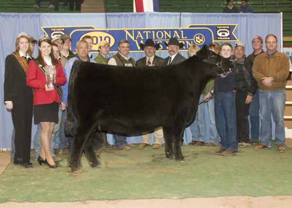 "Dawsy- Denver" - Reserve Supremem Female NAILE and National Western - Maternal Sibling