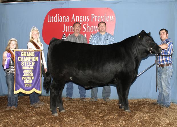 Josh Harris’s Grand Champion Steer at the 2013 Indiana Angus Preview Show. He was purchased in the 2012 Dawson-Miller Featured Josh Harris’s Grand Champion Steer at the 2013 Indiana Angus Preview Show. He was purchased in the 2012 Dawson-Miller Featured