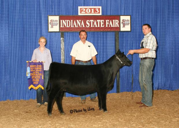 Lot 2 – Eagle Maid 213 was Reserve Junior Heifer Calf Champion of the 2013 Indiana State Fair Open Angus Show Lot 2 – Eagle Maid 213 was Reserve Junior Heifer Calf Champion of the 2013 Indiana State Fair Open Angus Show