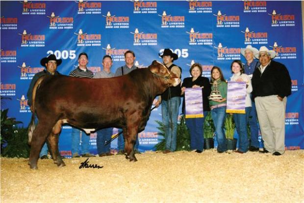 LMC RFI-Smith Red Bullet - International Champion - Son