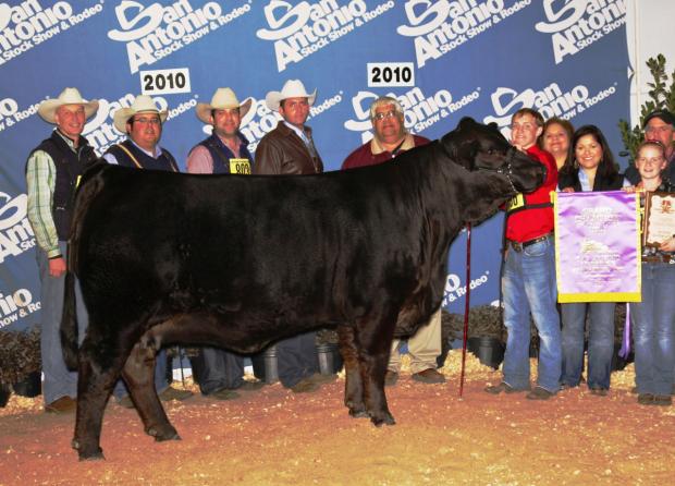 LMC WFC MS Dream Girl - Dam