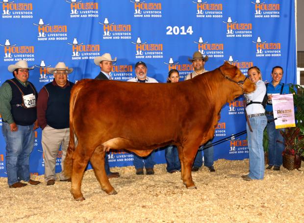 LMC BBS Jenna - Rajin Cajun Daughter
