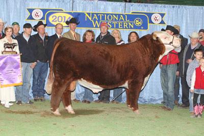 C Miles McKee - Full Brother to Stockman