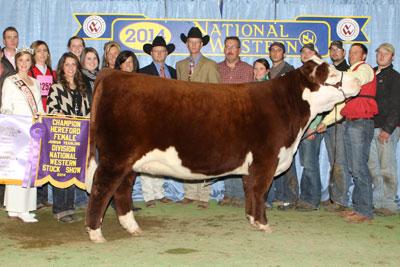 PURPLE KINGSLEY 23X ET DAUGHTER