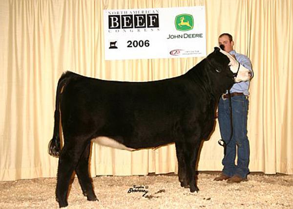 Dam of Lot 20F 