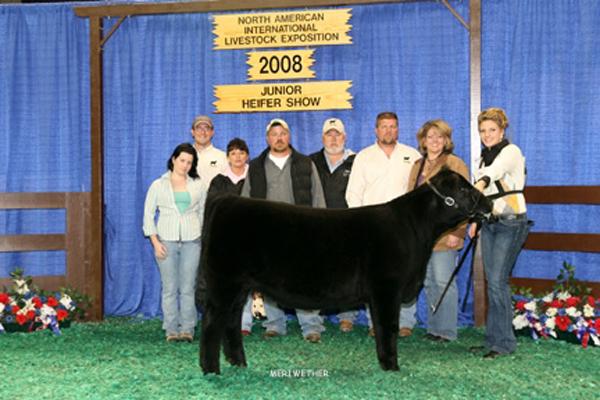 RSRS Cherokee - Division Champion, NAILE.  Sired by Cherokee, bred by Rob Sheets 