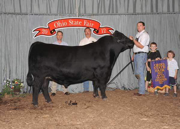LMF Radar 1710 - 5/8 brother to Lot 8 - Grand Champion Bull at the 2012 Ohio State Fair 