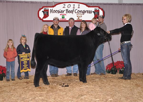 "Tammy- res div HBC" - Reserve Division Champion, 2011 Hoosier Beef Congress - Maternal Sibling - Lot 1 in 2011 Sale 