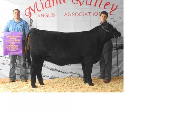 Universe Maid 506, dam of lot 21, pictured as the Grand Champion Bred & Owned female of the 2007 Miami Valley Angus Show