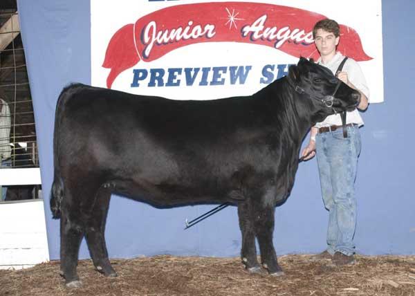 Dam of Lot 8 Dam of Lot 8