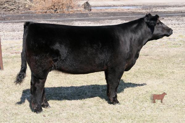 No relation to Test Lot 1