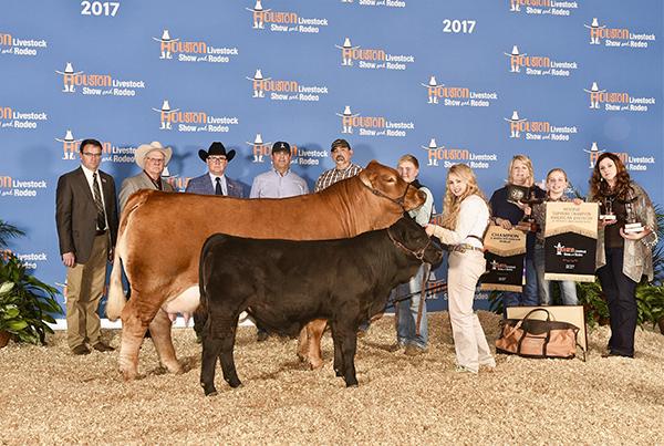 Daughter - Goldie is a  many times champion for Robert Stavinoha.