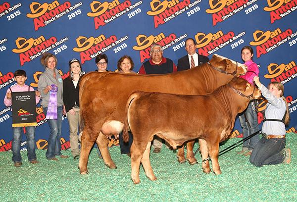 Daughter - LMC MM Red Velvet - Mia Barba's San Antonio & Houston Champion. Dam of LMC MM Dr. Red Duke.