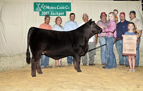 STAR of Texas Champion daughter that is a maternal sister to Lot 17. She is owned by Madison Culpepper.