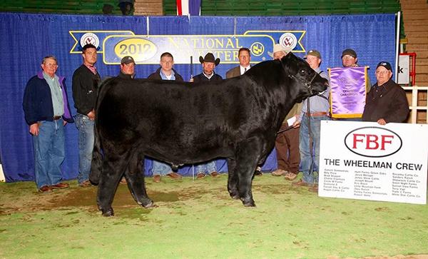 Sire - 2012 Denver Champion FBFS Wheelman