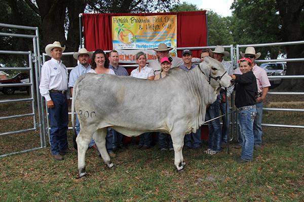 Dam - IS MS MELLIE MAE 200