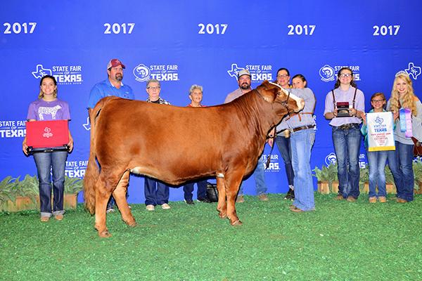 Daughter - LMC BBS Layla recently won the State Fair for MacKenzie Groce