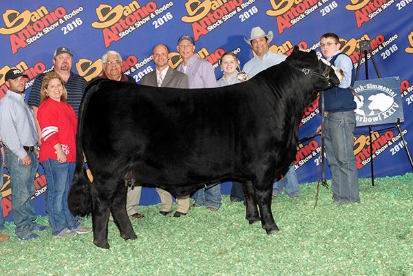 2016 Champion $10,000 Jr. San Antonio Show shown by Caleb Fuchs