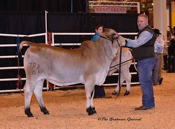 Walter's Allison 703/D, multiple time class and division winner for Winston Walters. Pictured as class winner at International S