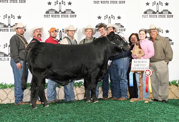 son - LMC ATZ Dr. Feel Good was Reserve National Champion as a calf.