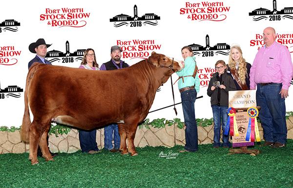 daughter - Makenzie Groce's Dallas, Fall Classic and Fort Worth Grand Champion.