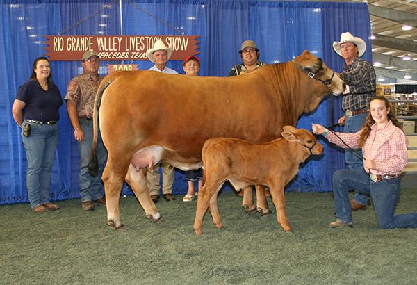 Champion daughter shown by Ron Wells Family.