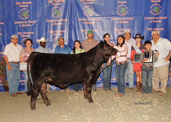 Many times champion daughter bred by LMC-La Negra and shown by Victoria Villanueva.