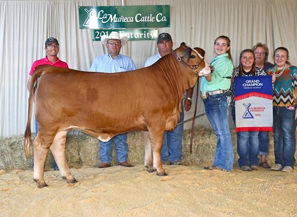 daughter - LMC LN Augustana is a past champion of MorganThomas that sells in LMC GenePLUS XXII.