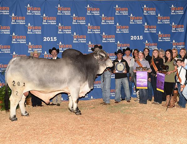 International Champion Sire and #1 Herd Sre for Heritage Cattle Co.