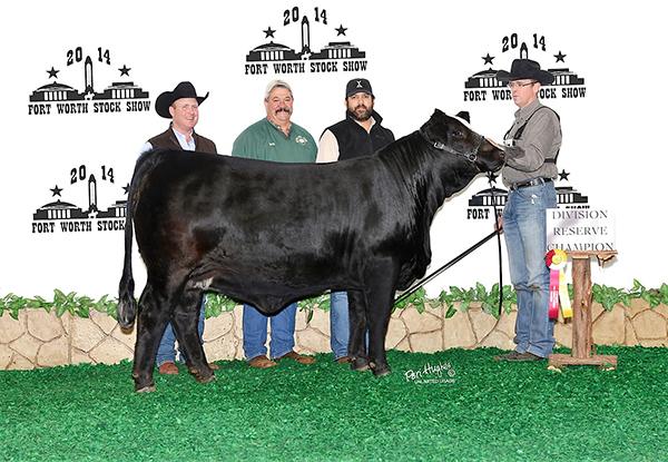 Dam - LMC Miss America is as good as it gets - the kind you want a herd bull out of !!