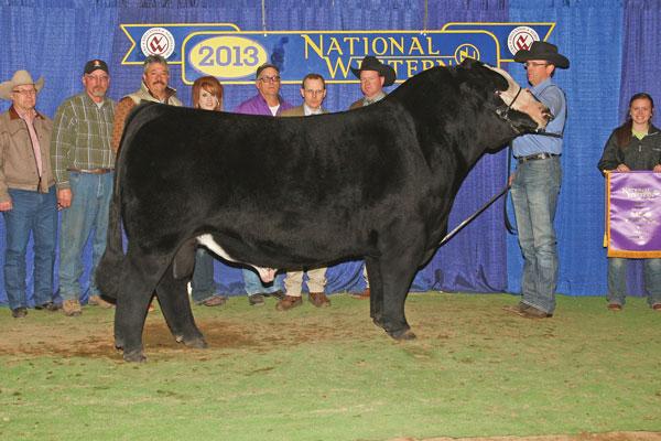 Sire of Lots 36-38 Denver Champion HOC Broker.