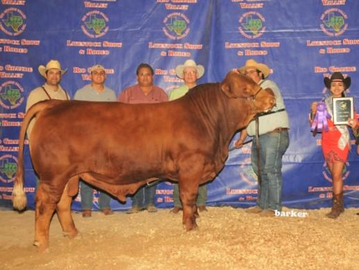 6G LMC Pappadeaux - one of several champions produced by 6G Ranch.