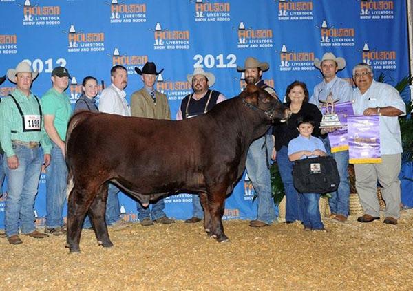 6G LMC Red Rock - 2012 International Grand Champion - another 6G Champion.