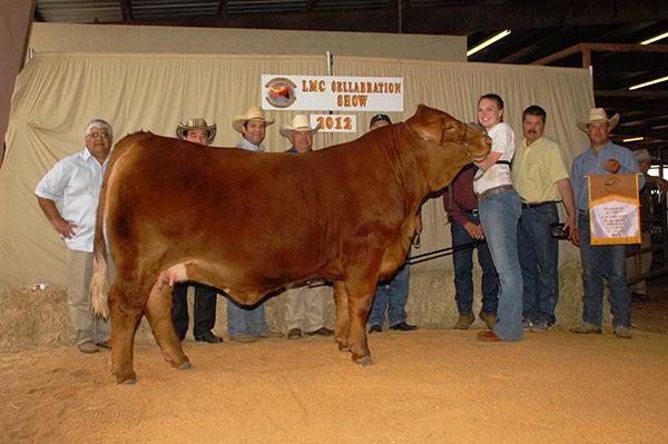 Dam - many times champion for Kallie Fuchs. Now a donor for BET M Ranch.