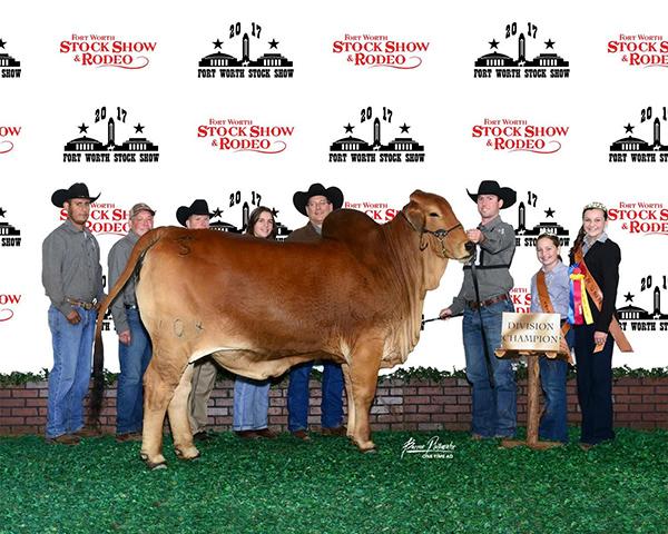 2016 Res grand kick off classic   2016 calf champ ft worth   2017 junior champ ft worth    Also won many other championships 