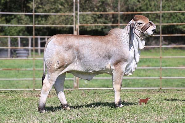 Progeny - Sold for $16,000 in royal flush sale II