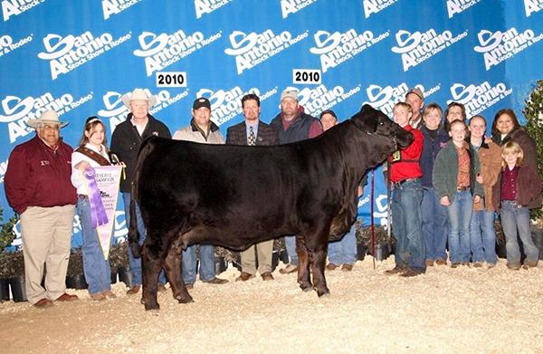 Maternal Grand Dam - LMC WFC Ms. Dream Girl - 2009 & 2010 National Champion and 2009 International Champion