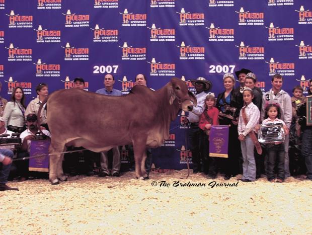 Daughter: VL Elena 155/4 2007 International Grand Champion Female