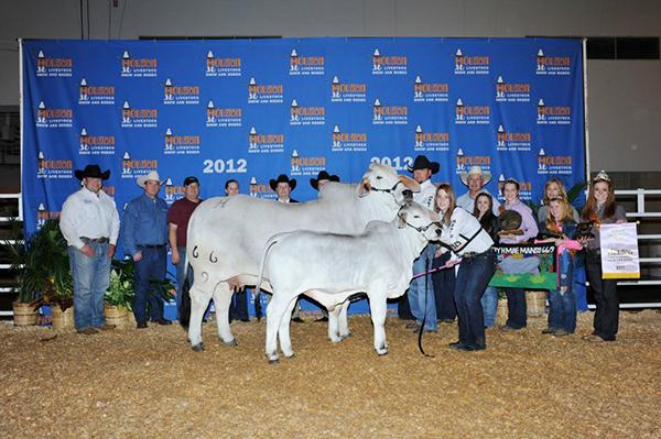 2012 International Reserve Grand Champion