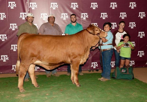 Pop's many times champion full sister to Redream and Gold Medal