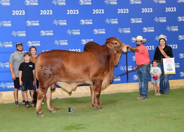 Full Brother – Many Time Show Winner