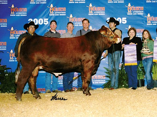 DAUGHTER - many times champion for McKenna Tschirhart bred by BETM Ranch