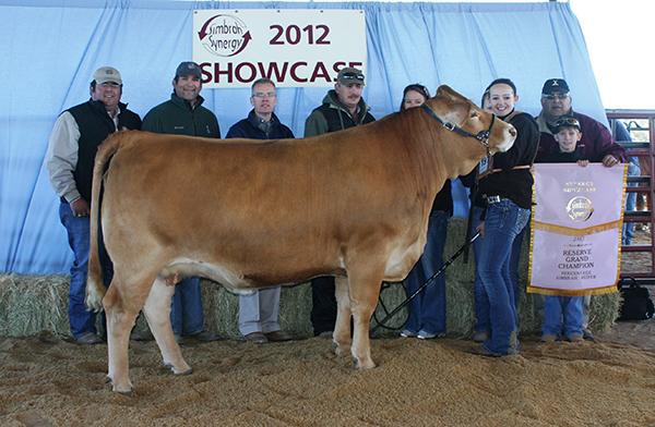 Simbravieh Champion Goliath daughter for Holli Baker