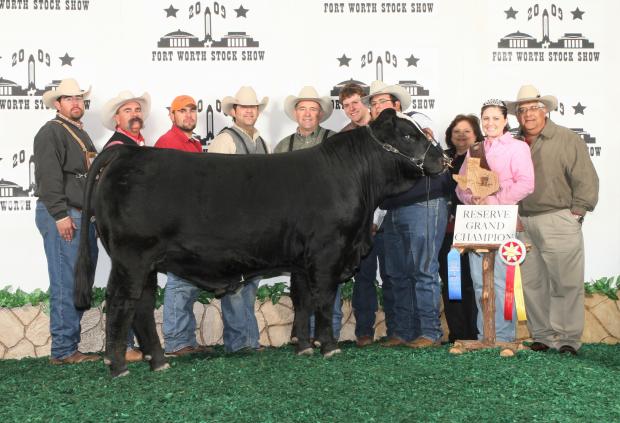 Sire - LMC ATZ Dr. Feel Good winning Reserve National at FW as a calf