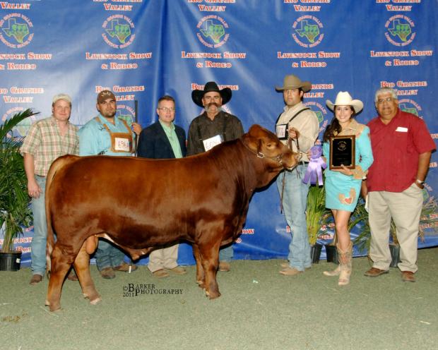 Sire - LMC BBS Primo who was Reserve Calf Champion in Houston and won the RGV Show