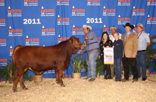 Sire - LMC BBS Primo who was Reserve Calf Champion in Houston and won the RGV Show